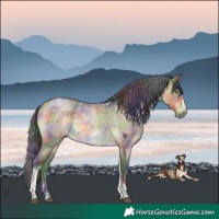 Horse Color:Nacre Buckskin Roan Dun Tobiano Frame Brindle 