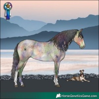 Horse Color:Nacre Buckskin Roan Dun Tobiano Frame Brindle 