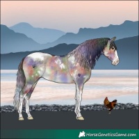 Horse Color:Nacre White Spotted Brown Dun Splash Tobiano Brindle 