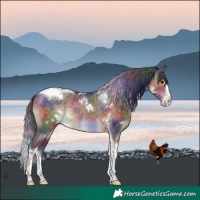 Horse Color:Nacre White Spotted Brown Dun Splash Tobiano Brindle