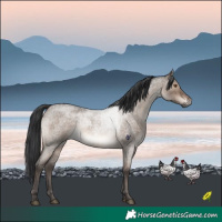 Horse Color:Brown Roan Dun Rabicano Brindle 