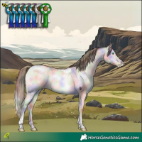 Horse Color:Nacre Buckskin Roan Pearl Dun Tobiano Brindle 