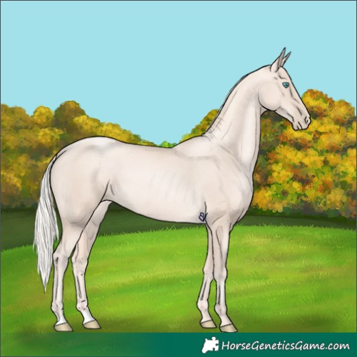 Horse Color:Gold Cream Champagne Pearl 