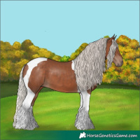 Horse Color:Silver Black Tobiano 