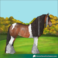 Horse Color:Brown Tobiano Rabicano