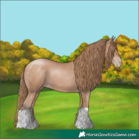 Horse Color:Black Pearl 