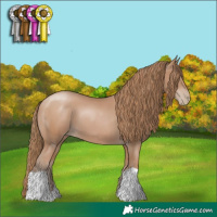 Horse Color:Black Pearl 