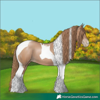 Horse Color:Black Pearl Tobiano 