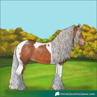 Horse Color:Silver Brown Tobiano 