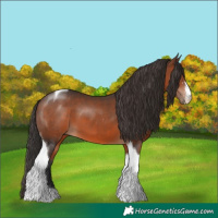 Horse Color:Brown Sabino Tobiano