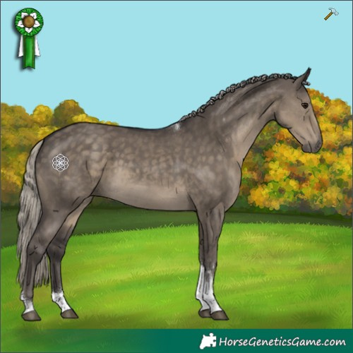 Horse Color:Silver Smoky Grullo Sabino Tobiano Rabicano 