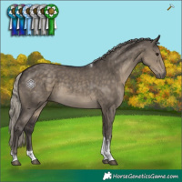 Horse Color:Silver Smoky Grullo Sabino Tobiano Rabicano