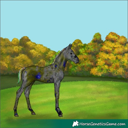 Horse Color:ERROR: UNKNOWN ANOMALY