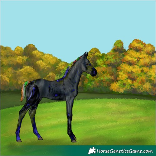 Horse Color:ERROR: UNKNOWN ANOMALY