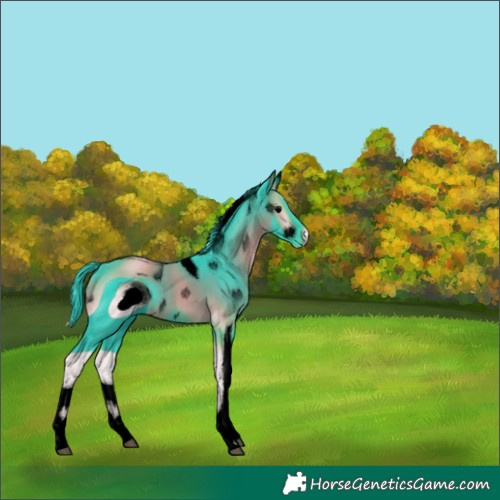 Horse Color:ERROR: UNKNOWN ANOMALY