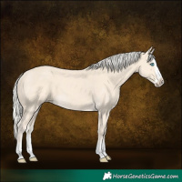 Horse Color:Cremello Splash and Cremello Splash