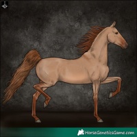 Horse Color:Red Dun 
