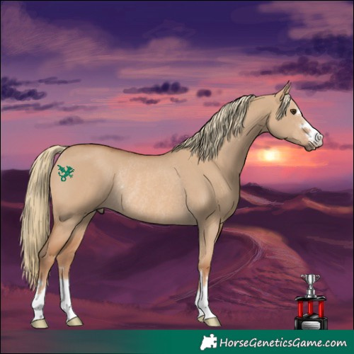 Horse Color:Red Dun Mushroom Rabicano 