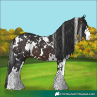 Horse Color:White Spotted Brown Snowflake Varnish 