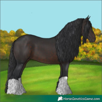 Horse Color:Brown 