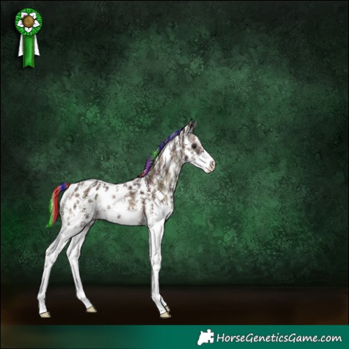 Horse Color:Painted Plaid Red Onyx Ice Sabino Appaloosa