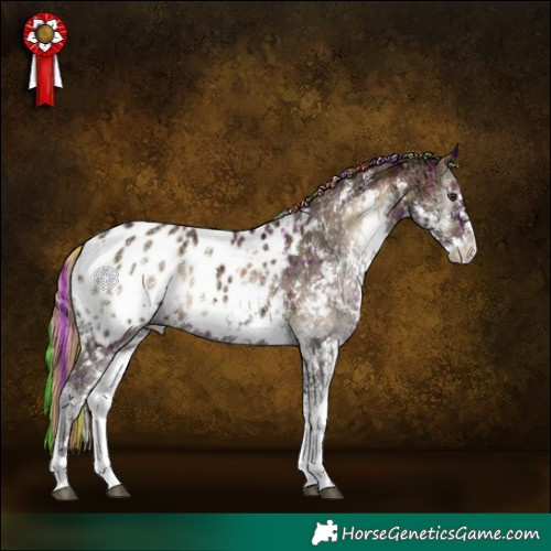 Horse Color:Painted Plaid  Red Onyx Ice Sabino Appaloosa 