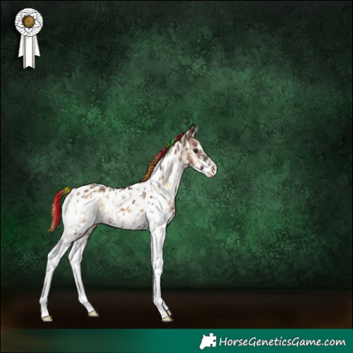 Horse Color:Painted Plaid  Red Onyx Sabino Appaloosa 