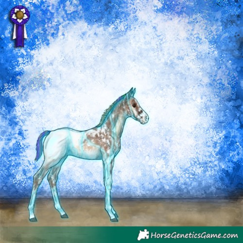 Horse Color:Painted Thunderstruck Red Onyx Sabino Appaloosa 