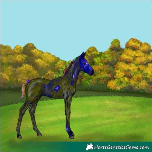 Horse Color:ERROR: UNKNOWN ANOMALY