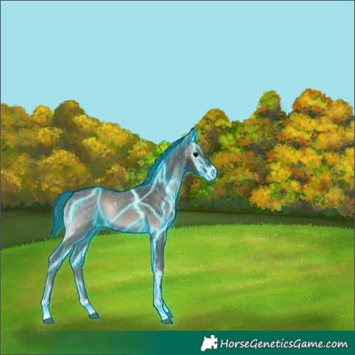 Horse Color:Thunderstruck Blue Onyx Sabino 