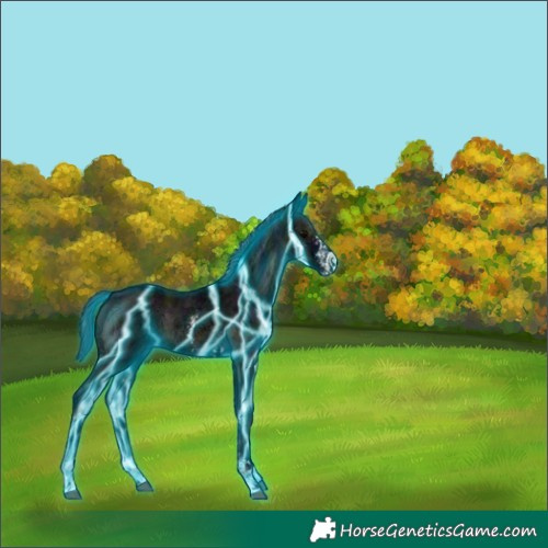 Horse Color:Thunderstruck Midnight Blue Onyx Ice Sabino 