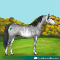 Horse Color:Bay Chinchilla Sabino 