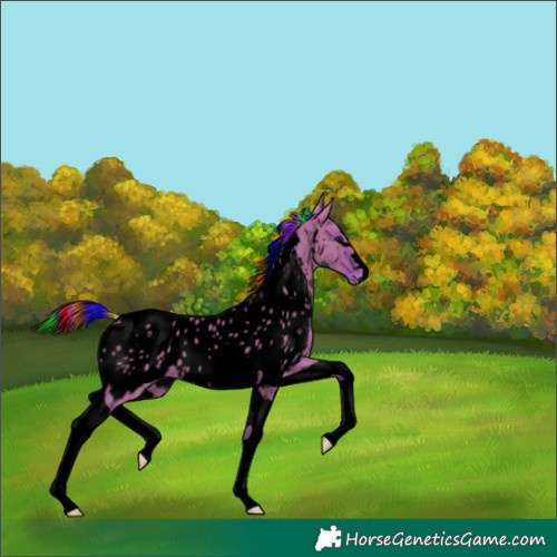 Horse Color:Void Painted Watercolor Grullo Tobiano Appaloosa 