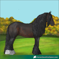 Horse Color:Brown 