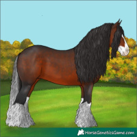 Horse Color:Brown Splash