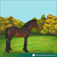 Horse Color:Brown 