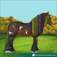 Horse Color:Painted White Spotted Brown 