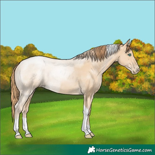 Horse Color:Smoky Black Pearl Tobiano Rabicano 