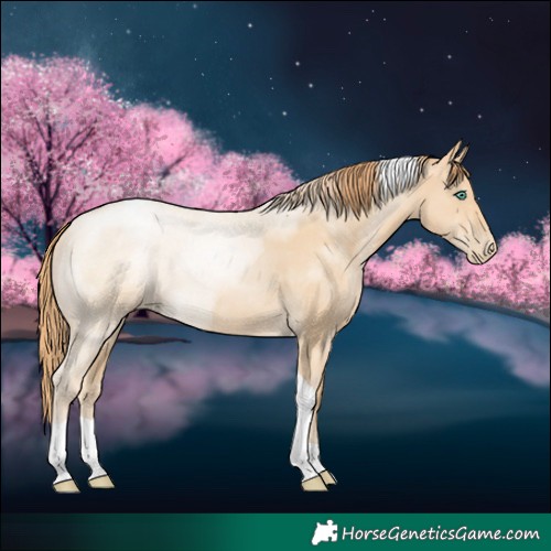 Horse Color:Smoky Black Pearl Tobiano Rabicano 