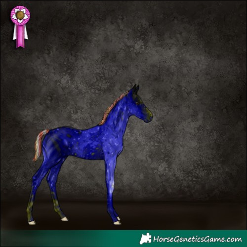 Horse Color:ERROR: UNKNOWN ANOMALY