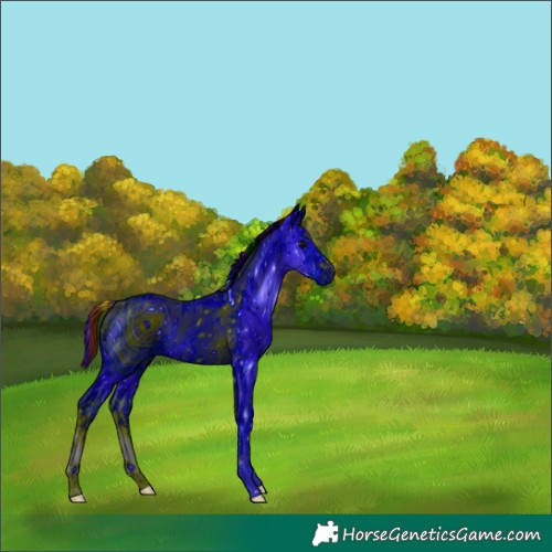 Horse Color:ERROR: UNKNOWN ANOMALY