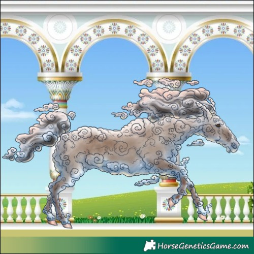 Horse Color:Liver Red Dun Sabino Splash 