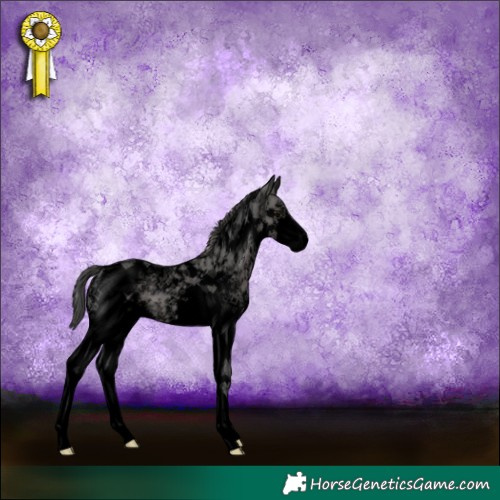 Horse Color:Void Watercolor Chocolate Black Sabino Splash Tobiano 