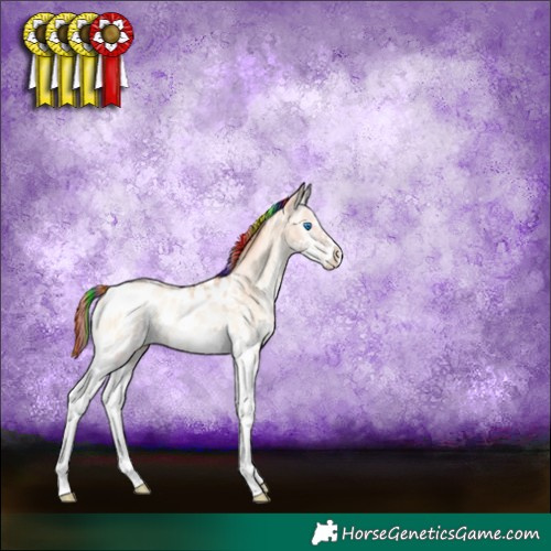 Horse Color:Painted White Spotted Classic Champagne Pearl Onyx Sabino Splash Appaloosa 