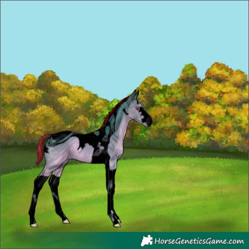 Horse Color:ERROR: UNKNOWN ANOMALY