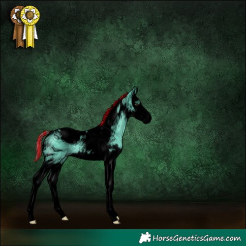 Horse Color:ERROR: UNKNOWN ANOMALY