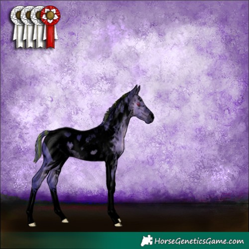 Horse Color:ERROR: UNKNOWN ANOMALY