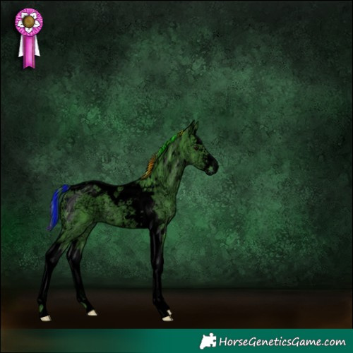 Horse Color:Void Painted Watercolor Black Ice Sabino Splash Tobiano 