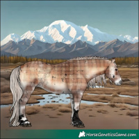 Horse Color:Void Plaid  White Spotted Silver Bay Onyx Tobiano 