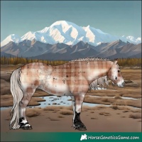 Horse Color:Void Plaid  White Spotted Silver Bay Onyx Tobiano 